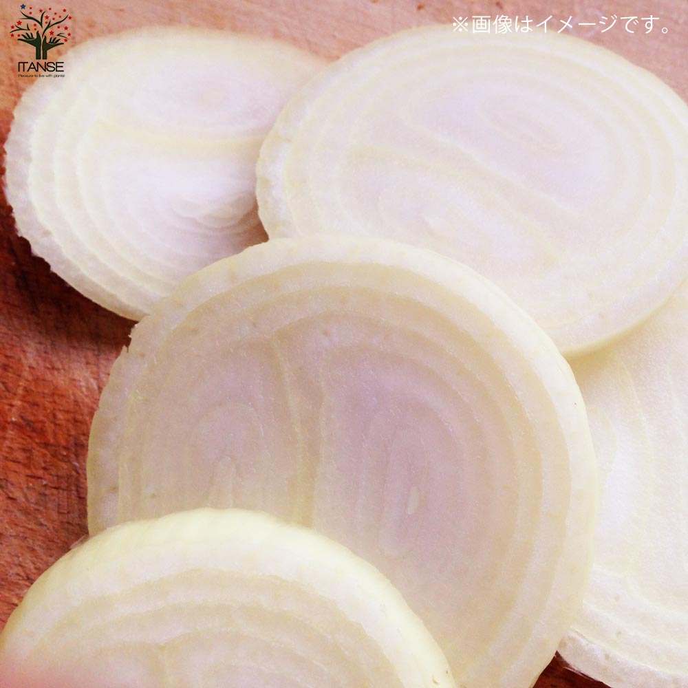 玉ねぎ抜き苗 品種：もみじ3号(晩生) 【野菜の苗 約50本／束