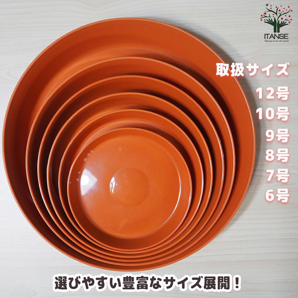 浅皿 (鉢用受け皿)【資材 6号】｜ 【植物のITANSE】全品送料無料