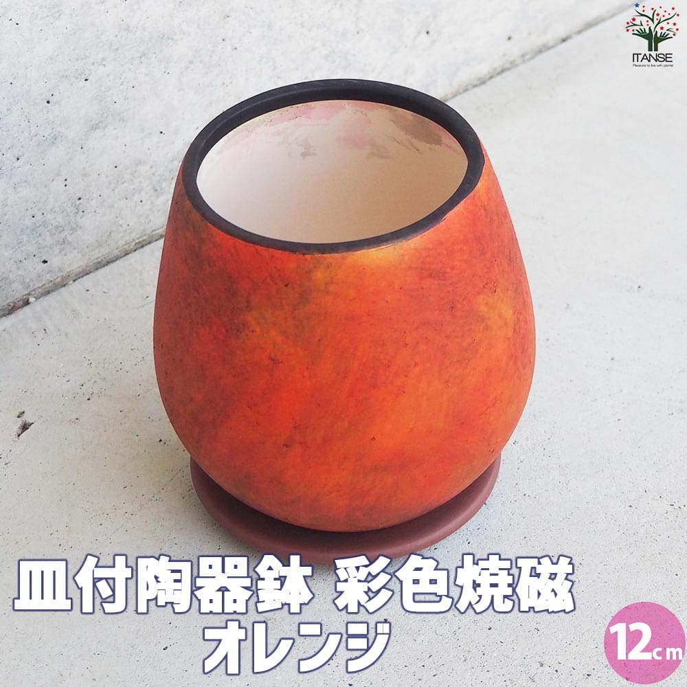 皿付陶器鉢 彩色焼磁 オレンジ【資材 12cm】｜ 【植物のITANSE