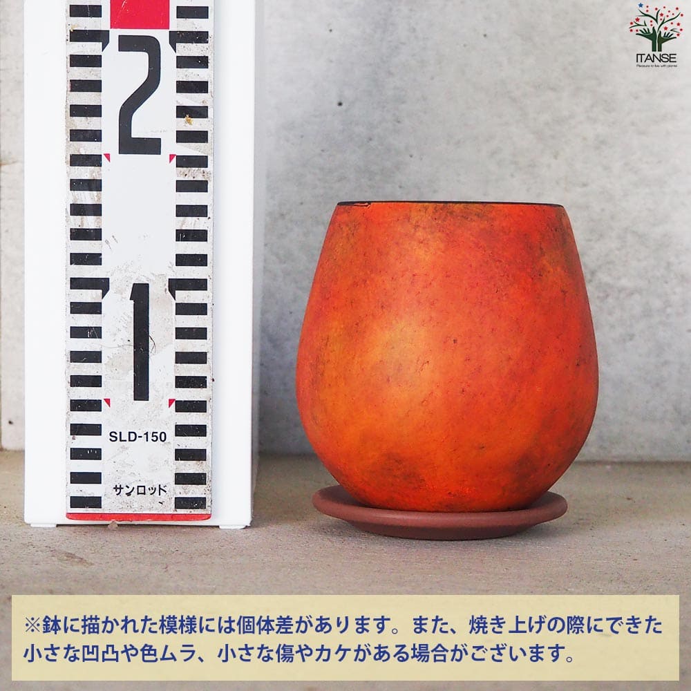 皿付陶器鉢 彩色焼磁 オレンジ【資材 12cm】｜ 【植物のITANSE