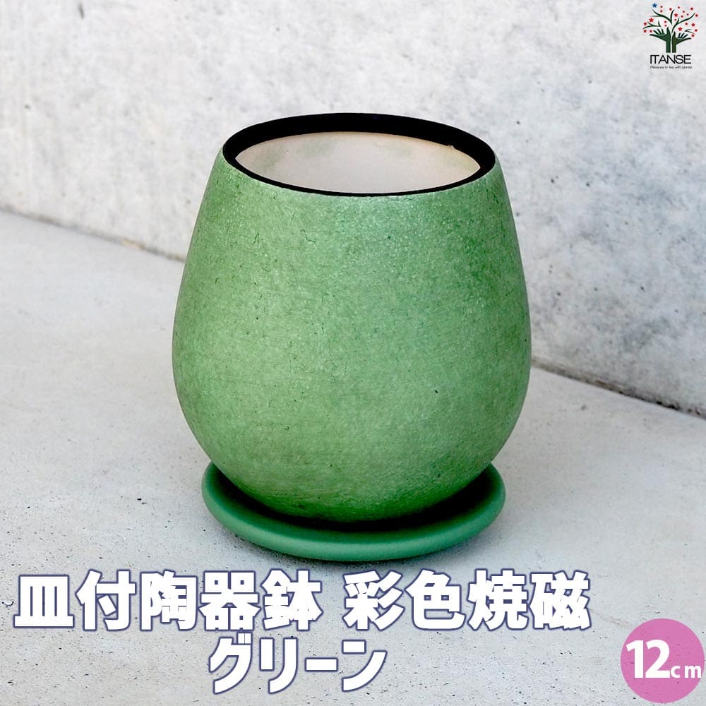 皿付陶器鉢 彩色焼磁 グリーン【資材 12cm】｜ 【植物のITANSE