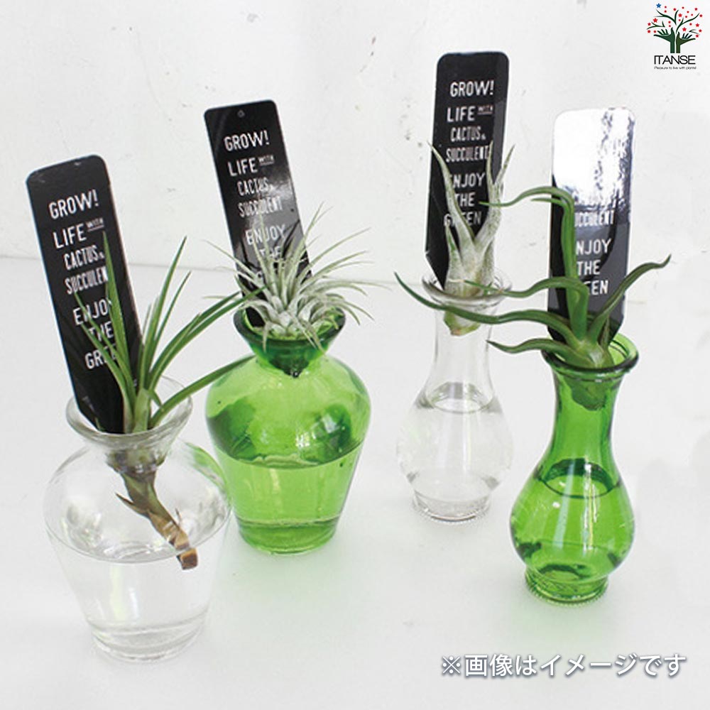 Ajka アイカ クリスタル 切子 花瓶 フラワーベース 1点 グリーン 緑