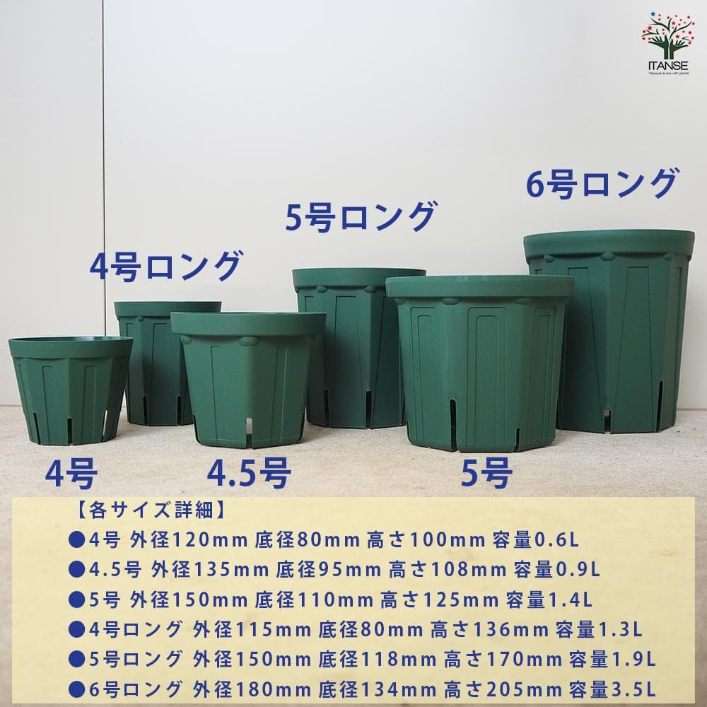 スリット鉢 【プラ鉢 4号ロング】｜ 【植物のITANSE】全品送料