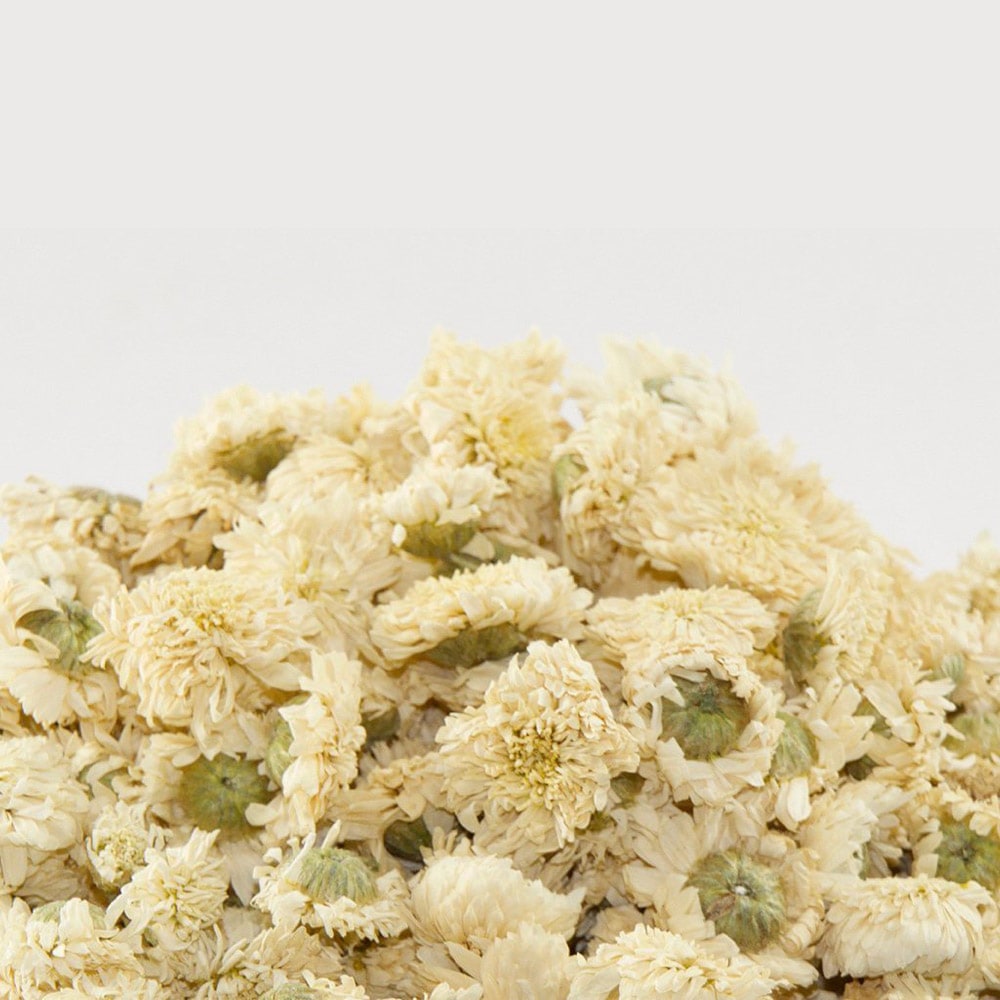 ローマンカモミールダブルフラワー 3個セット【ハーブ苗9cmポット／3個