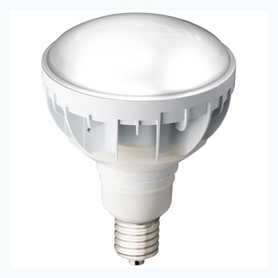 LDR30N-H-E39/W850 || LEDioc LEDアイランプ 岩崎電気(IWASAKI) バラ