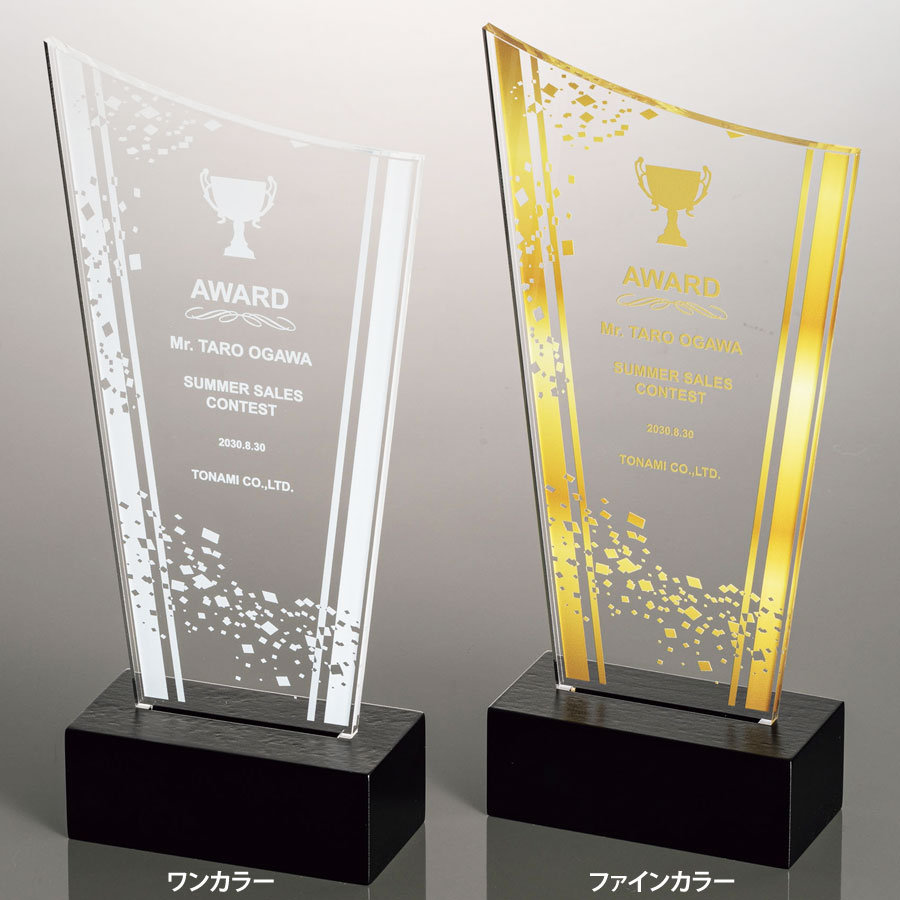 シルバー トロフィー 専用ケース付き シルバー トロフィー 専用ケース