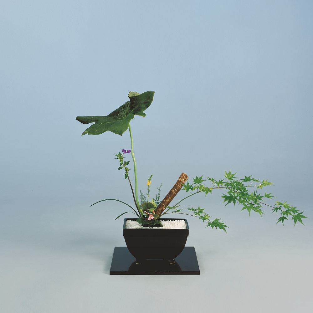 FRP製】砂鉢花器 青翠(せいすい)青 | 花器・花瓶 | フラワーショップ花楽