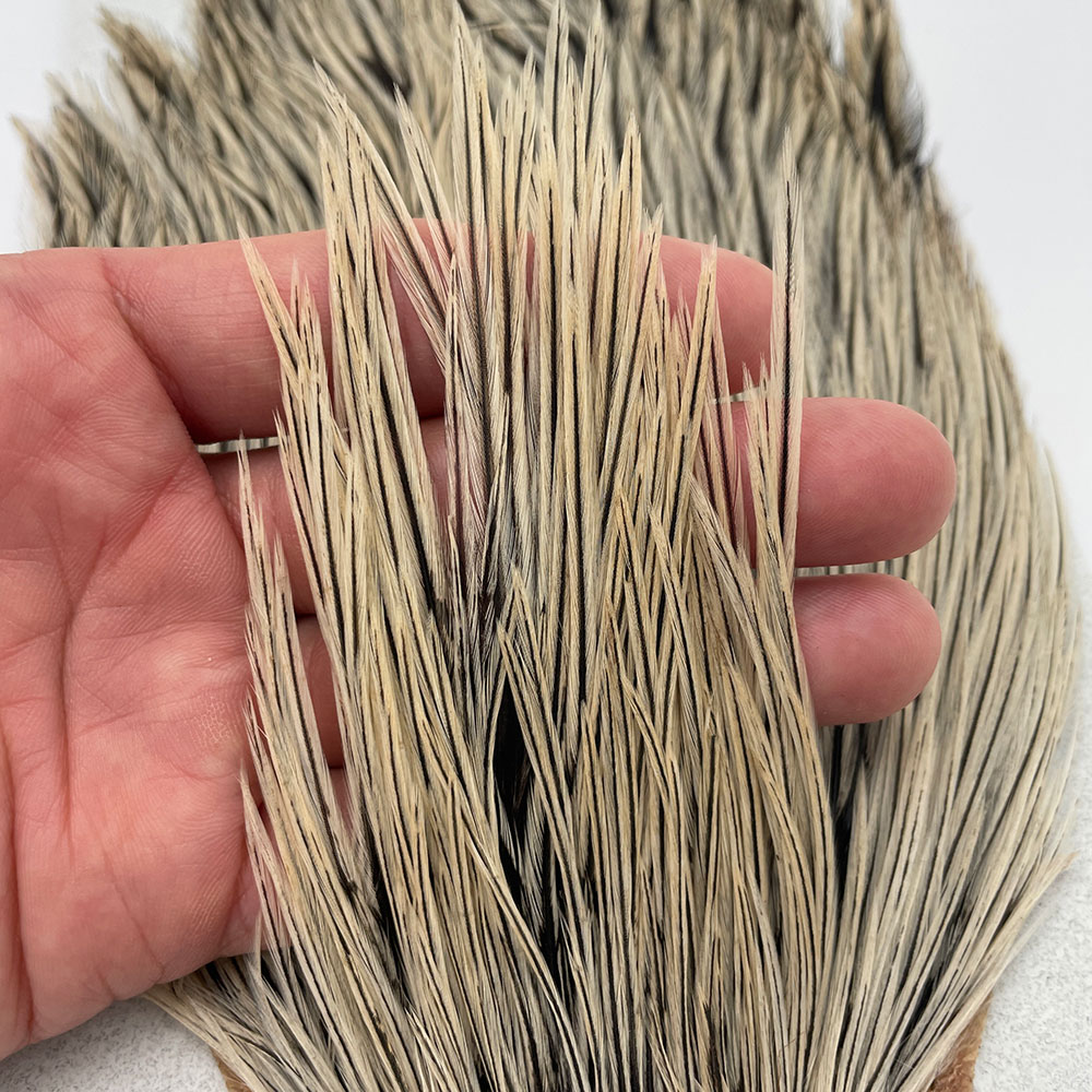 KEOUGH ハックルケープ ＃2 バジャー NO.1