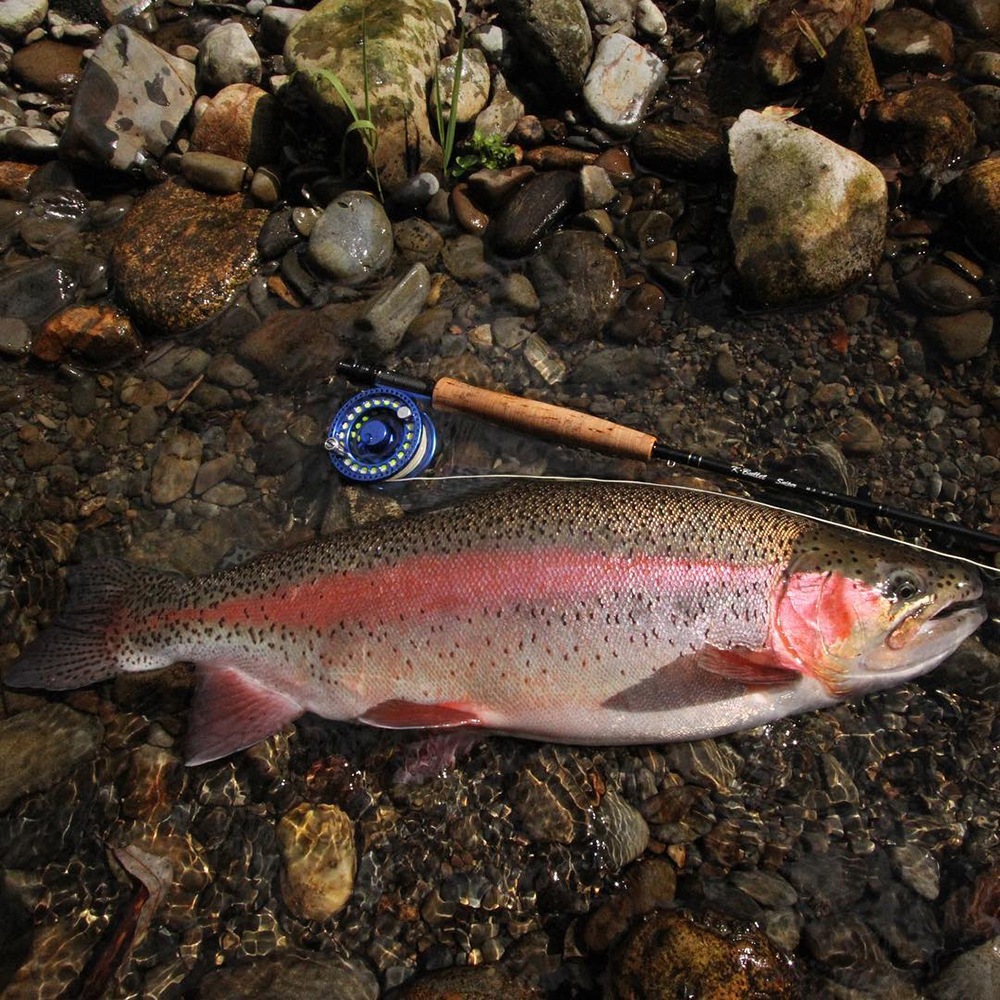 SNIPER#3 (9ft 9inch)