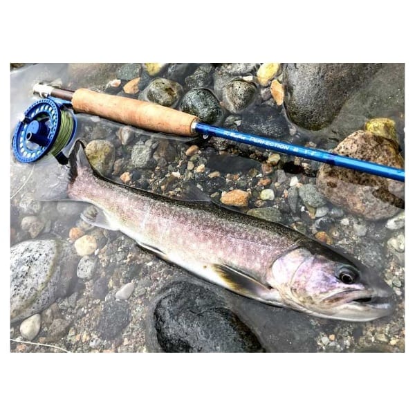 Perfection (パーフェクション) 9ft #2