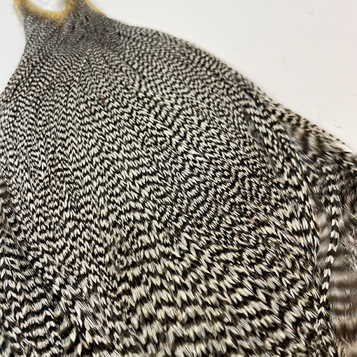 10%OFF メッツ コックネック＃2 グリズリー No.1