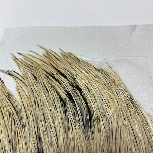 KEOUGH ハックルケープ ＃2 バジャー NO3