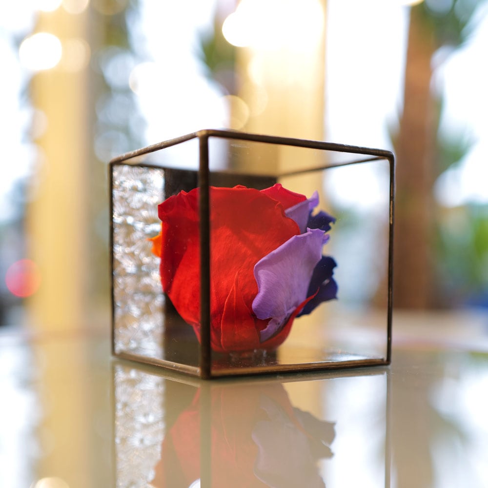 レインボーローズ プリザーブドフラワー in ステンドグラス | 色から