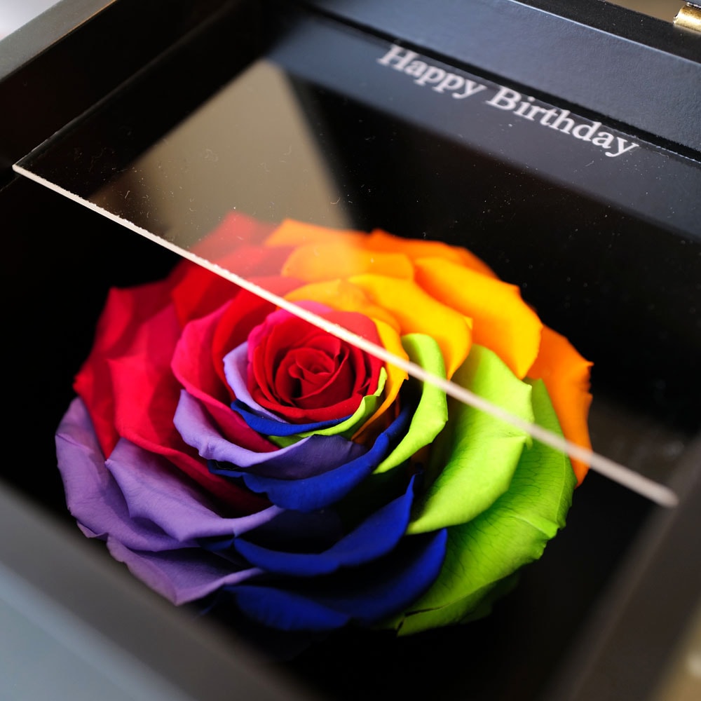 レインボーローズ1輪 プリザーブドフラワー BLACK CUBE BOX