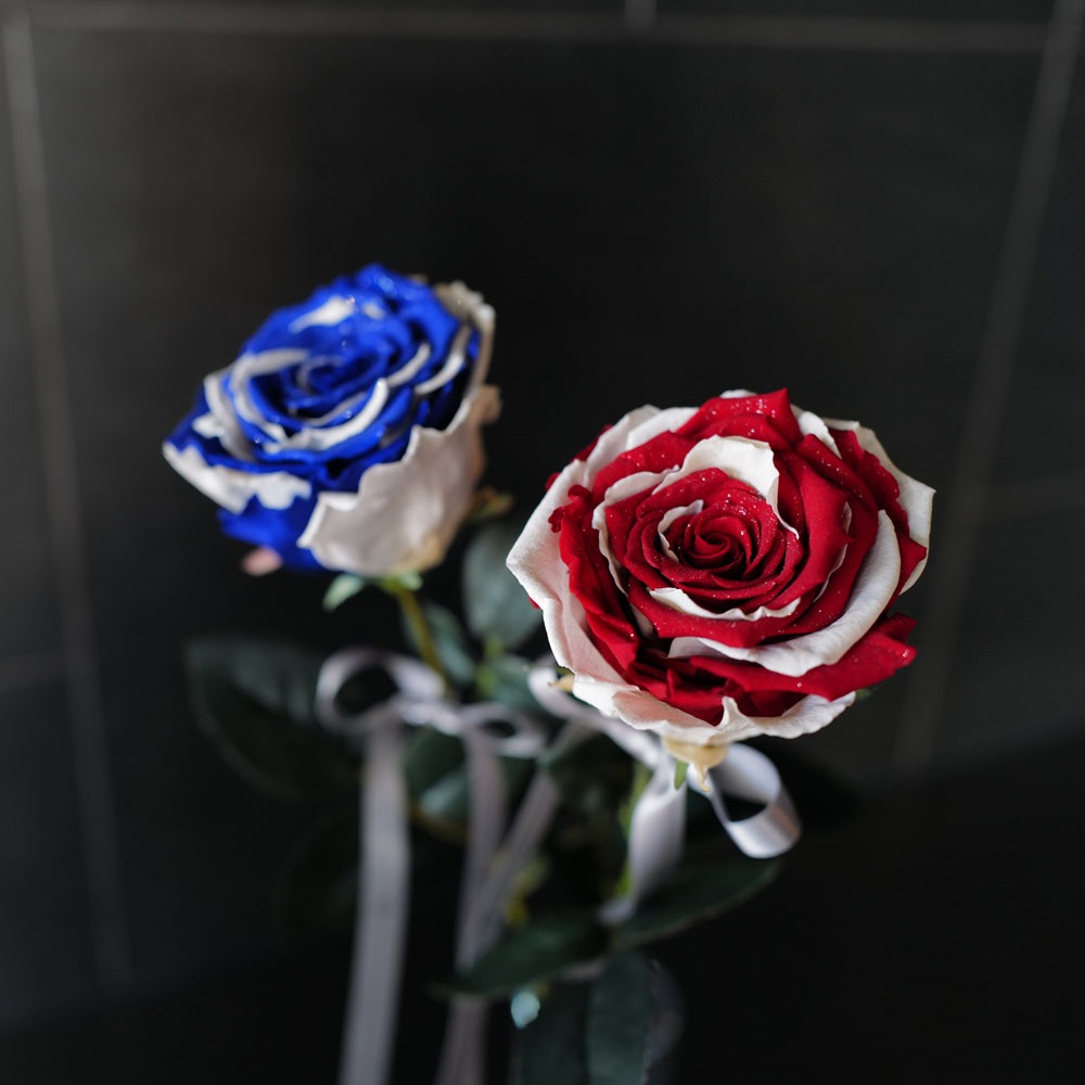 レインボーローズジャパン プリザーブドフラワー 縦長BOXギフト