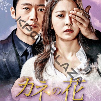 K-POP LAND】KPOP DVD 韓流グッズ 専門店 新大久保 KPOPDVD