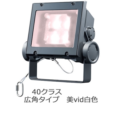 ECF4040W/VWSAN8/DG || LED投光器 岩崎電気 レディオックフラッドネオ