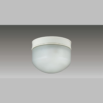 生産終了品】LEDEM30280WM || LED非常用照明器具 東芝 専用形 直付防湿