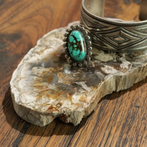 珪化木スライス ペトリファイドウッド 木の化石｜マライカ公式通販