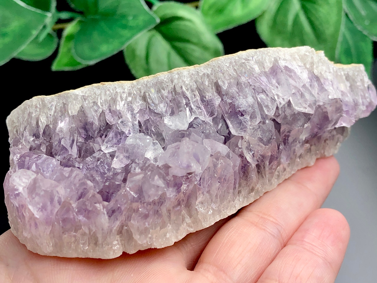 アメジスト 鉱物 標本 原石 インテリア 天然石 メキシコ ブラジル 激安