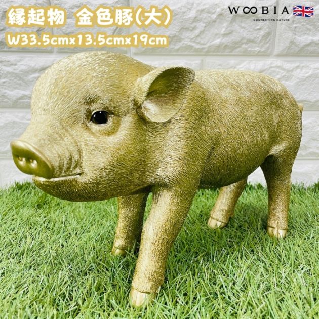 かわいい 置物 金の豚 大 ゴールデンピッグ woobia ウービア 金の