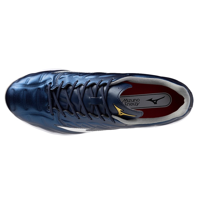 29.5cmのみ】MIZUNO（ミズノ）限定 ミズノプロ クッションレボプロ