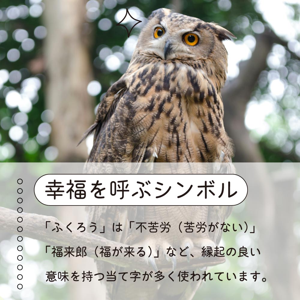二口万能胴長水栓（ふくろうハンドル・鋳肌）｜2股・2口仕様