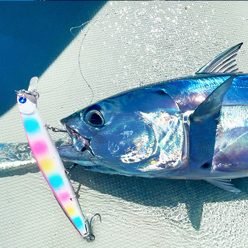 BlueBlue/BLOOOWIN!(ブローウィン！)140S ジャーキングミノー シーバス