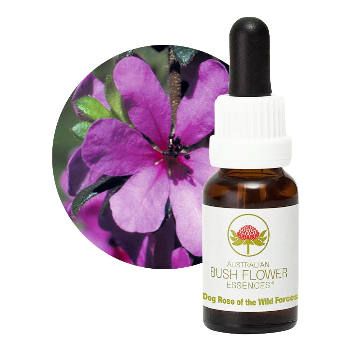 グリーンエッセンス[Green Essence] | ブランド一覧,オーストラリアン