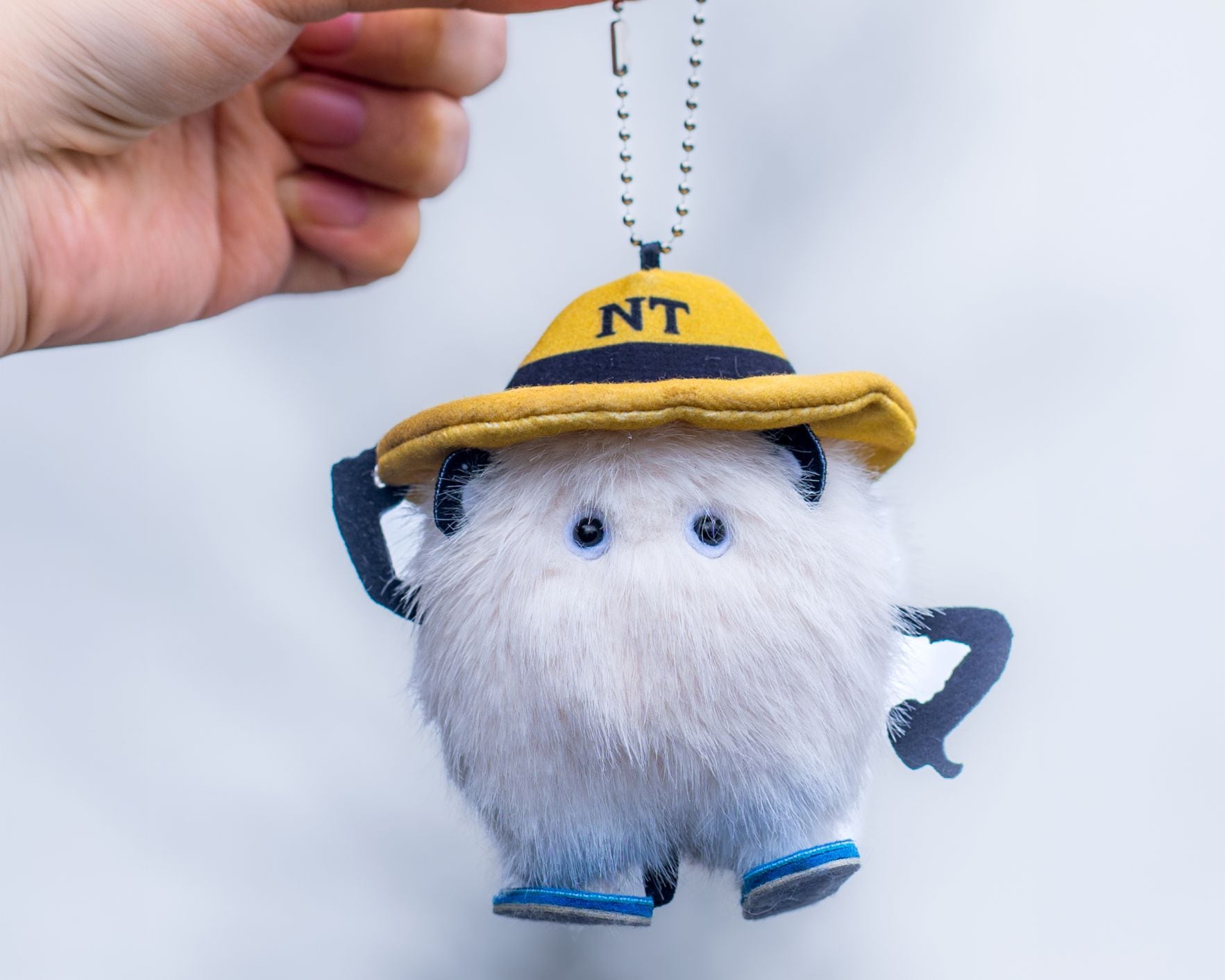 asimocrafts × NATURE TONES アシモクラフツ asimocrafts × NATURE TONES】 まもなくOPENの東京ストアの目玉