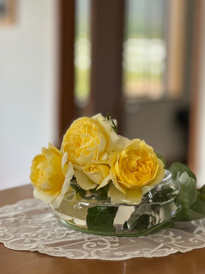 バラ苗 Roses,ブランド（ナーセリー）から選ぶ | バラとハーブの専門