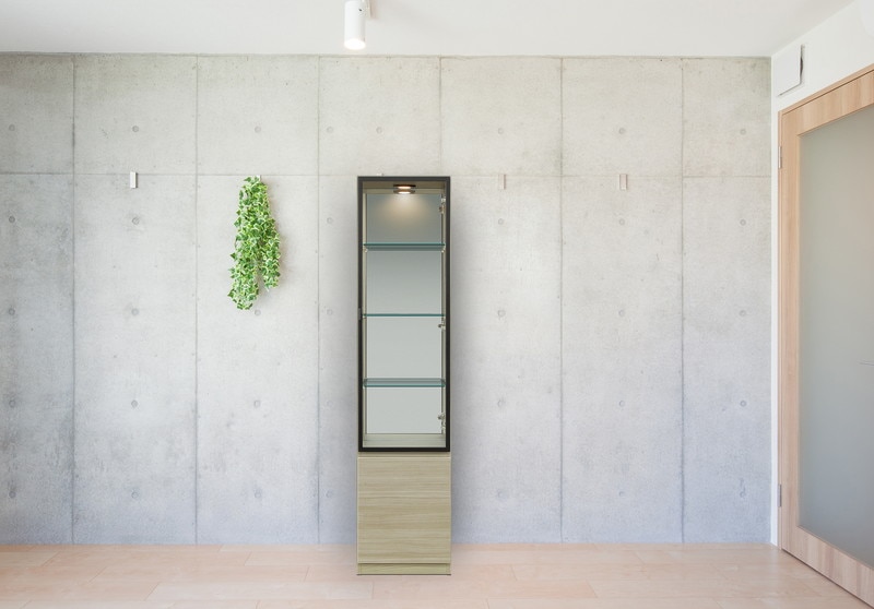 CA 幅40cm コレクションボード キュリオケース コレクションケース