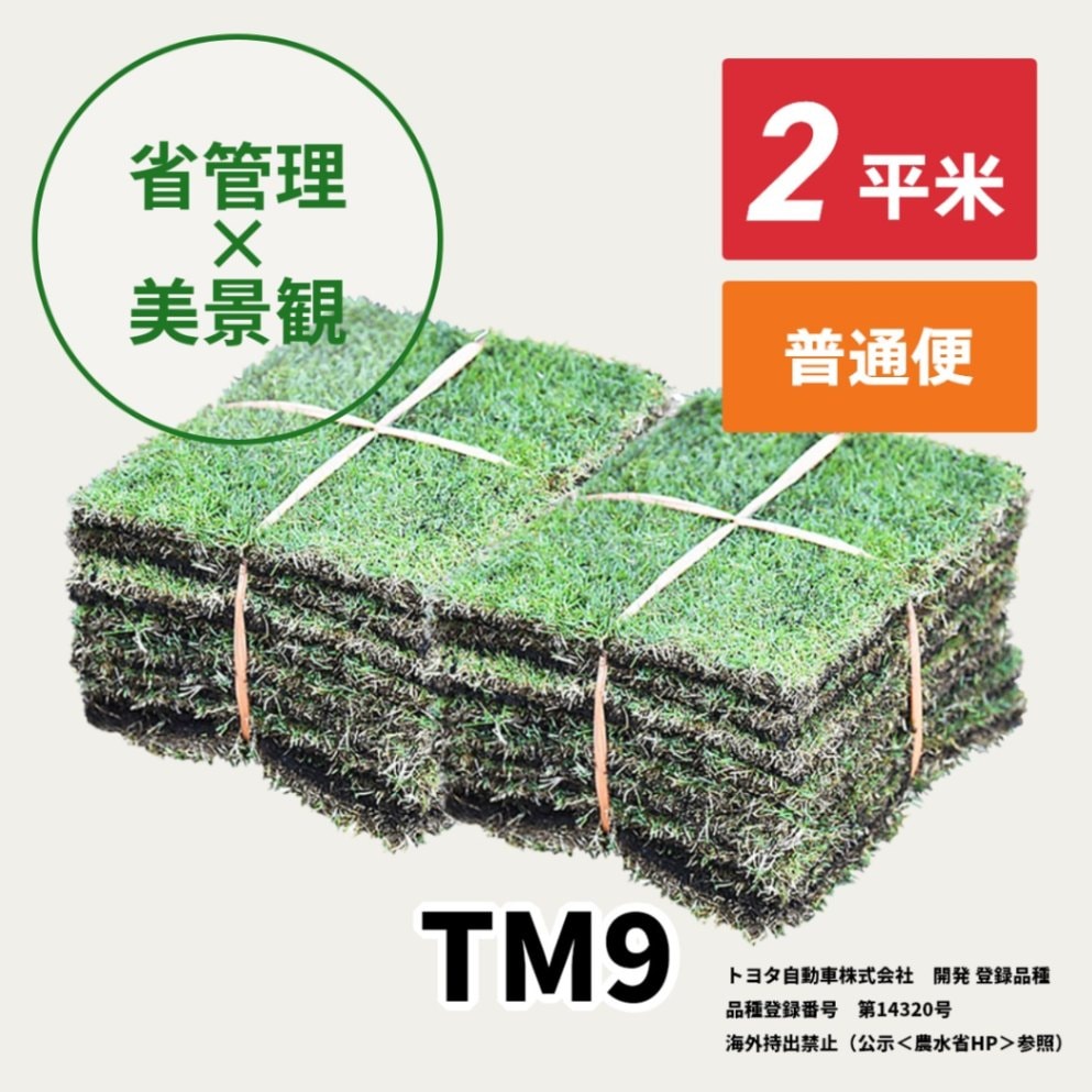 TM9（1平米）【クール便/送料込】 | 芝生,TM9 | HAYASHIオンラインストア