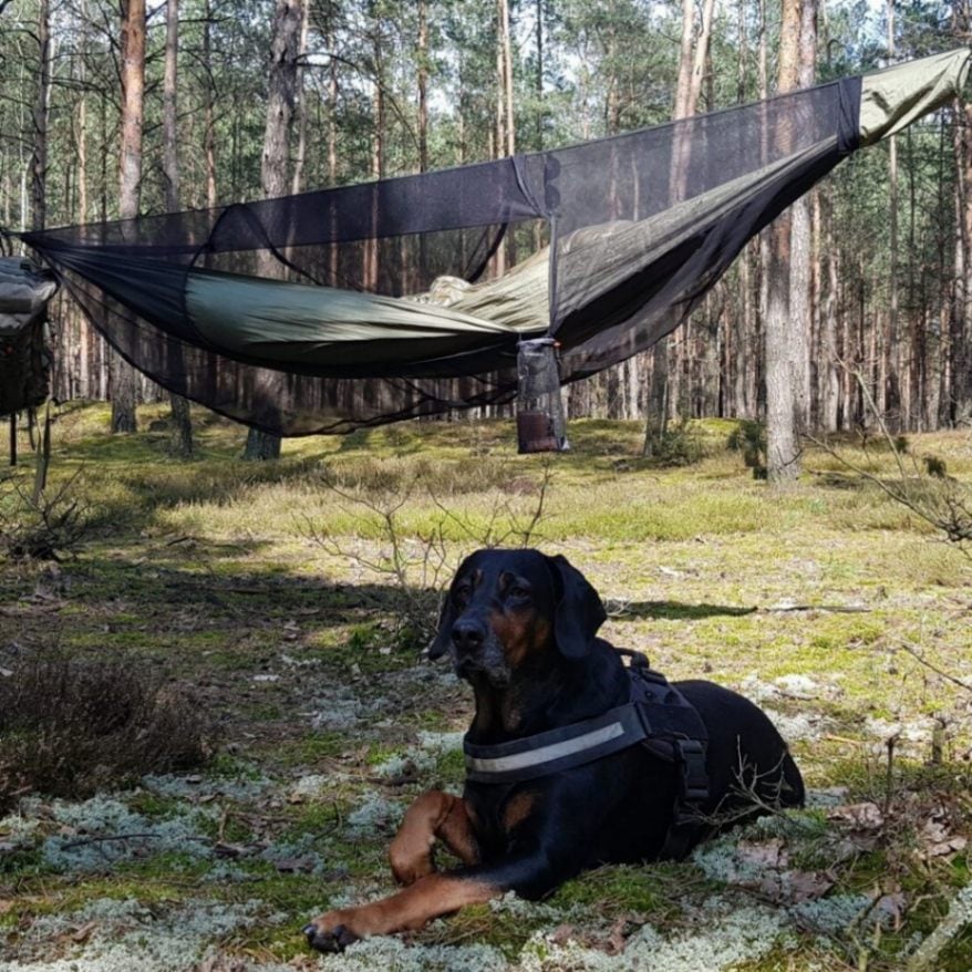 JUNGLE Hammock set | BRAND,BUSHMEN Travel Gear | PLUGFLUX