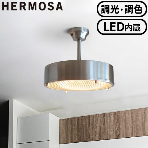 ハモサ ニール シーリングランプ シルバー HERMOSA NEIL CEILING LAMP