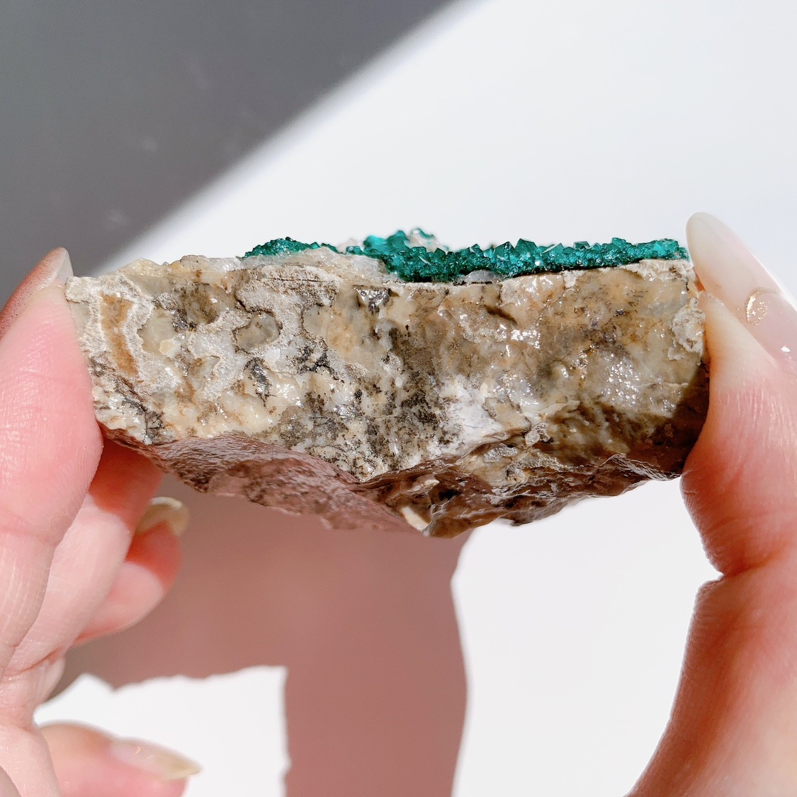 ダイオプテーズ 原石 | 原石 | Crystals by Purely