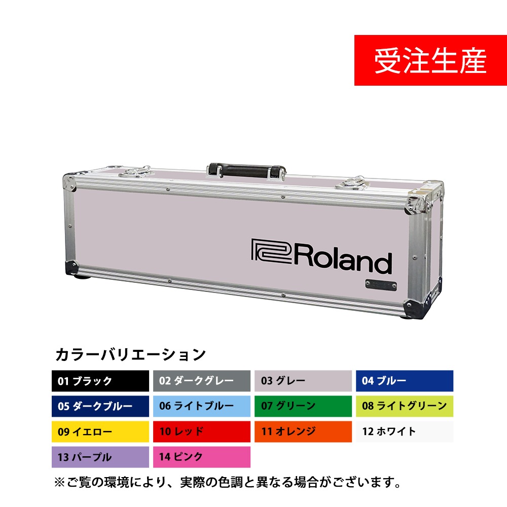 受注生産・代引不可】TB-AE10（AE-10専用ハードケース）