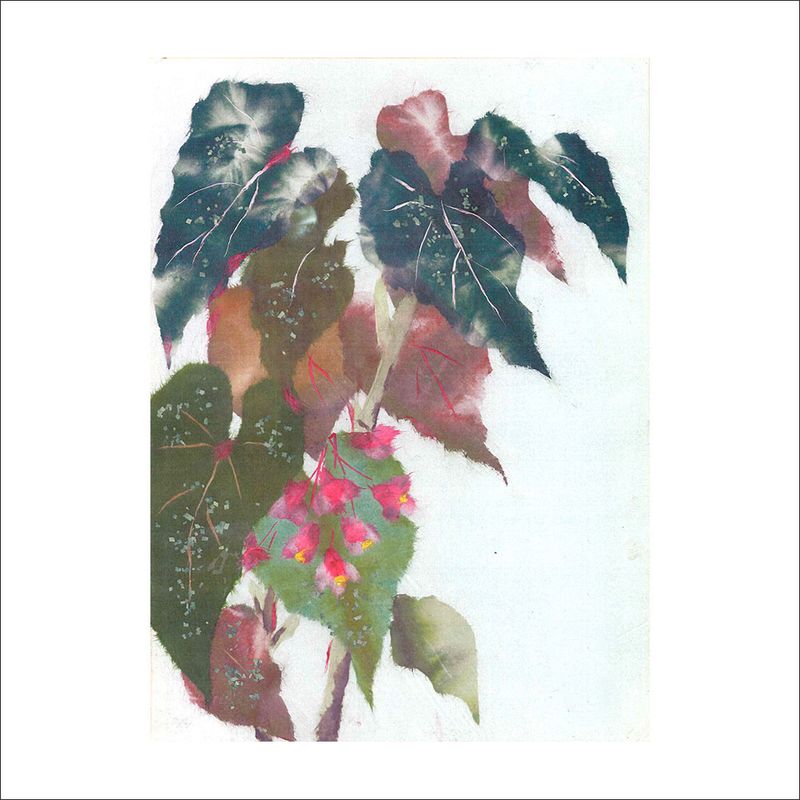 書道・和紙・ちぎり絵・漉き紙ショップ | 和紙のちぎり絵,ちぎり絵