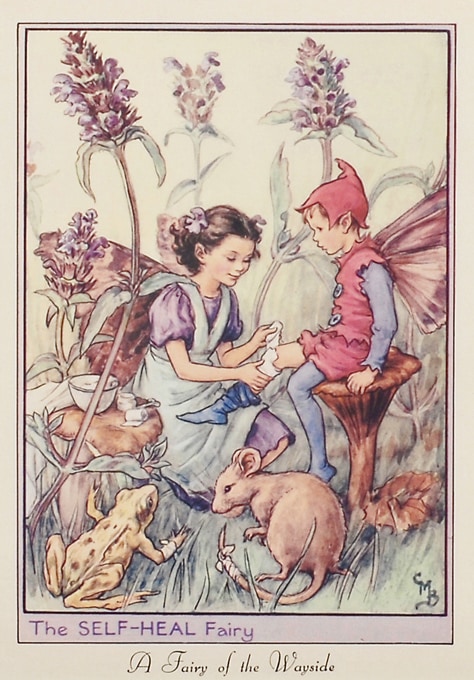 シシリー・メアリー・バーカー 「ウツボグサの妖精」 | | アトリエ