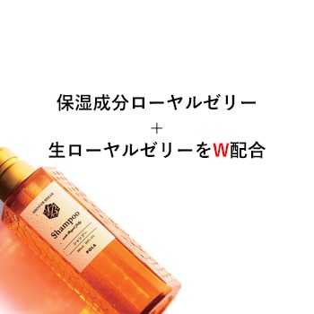 V416ポーラシャワーブレイクボディソープ10L【入数1個】