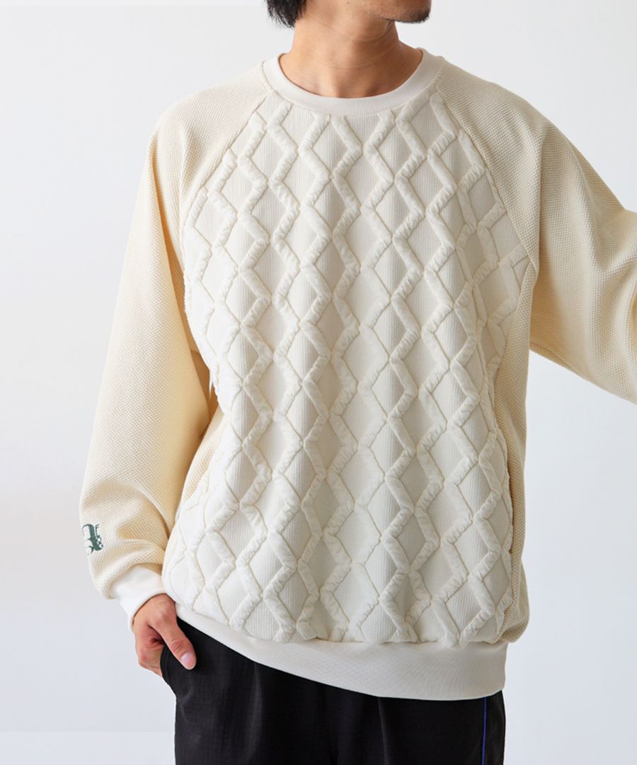 ANTIQUA GOLF×STCH トップス メンズ 送料無料・再入荷 メール便不可