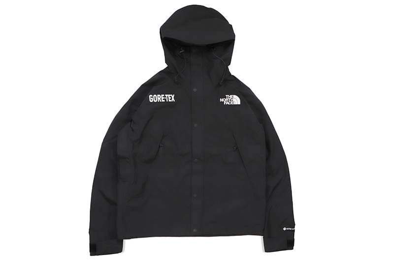 THE NORTH FACE GORE-TEX MOUNTAIN JACKET (NF0A831MJK3:TNF BLACK