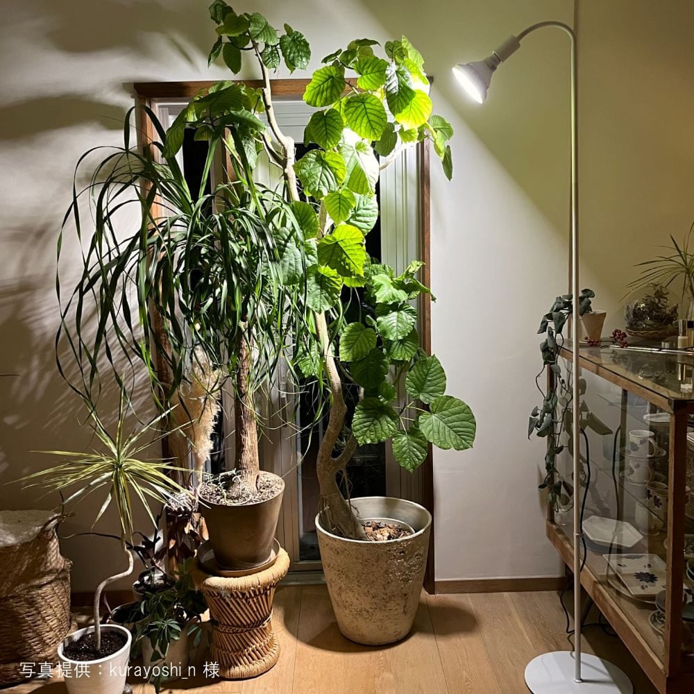 植物育成ライト専門店BARREL｜【WAP-SUN-20W】電球E26｜防水仕様 IP65