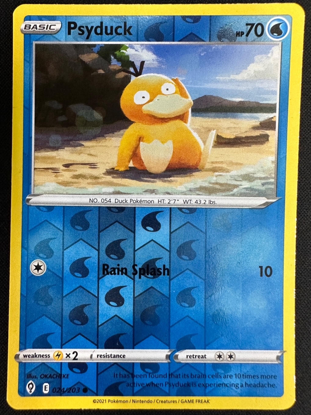 状態B】Psyduck/コダック《英語》[](024/203) | ポケモンカードゲーム