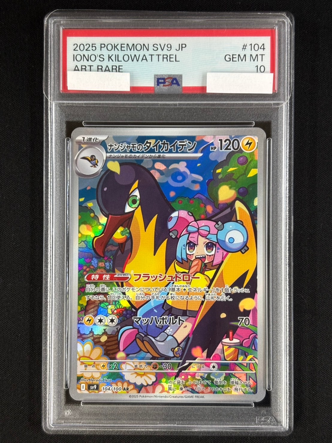 ナンジャモノのカイデン ナンジャモノのタイカイデンPSA10 連番 2連番