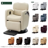 タカラベルモント ノアージュ LI（サクション/パター、アイオノス