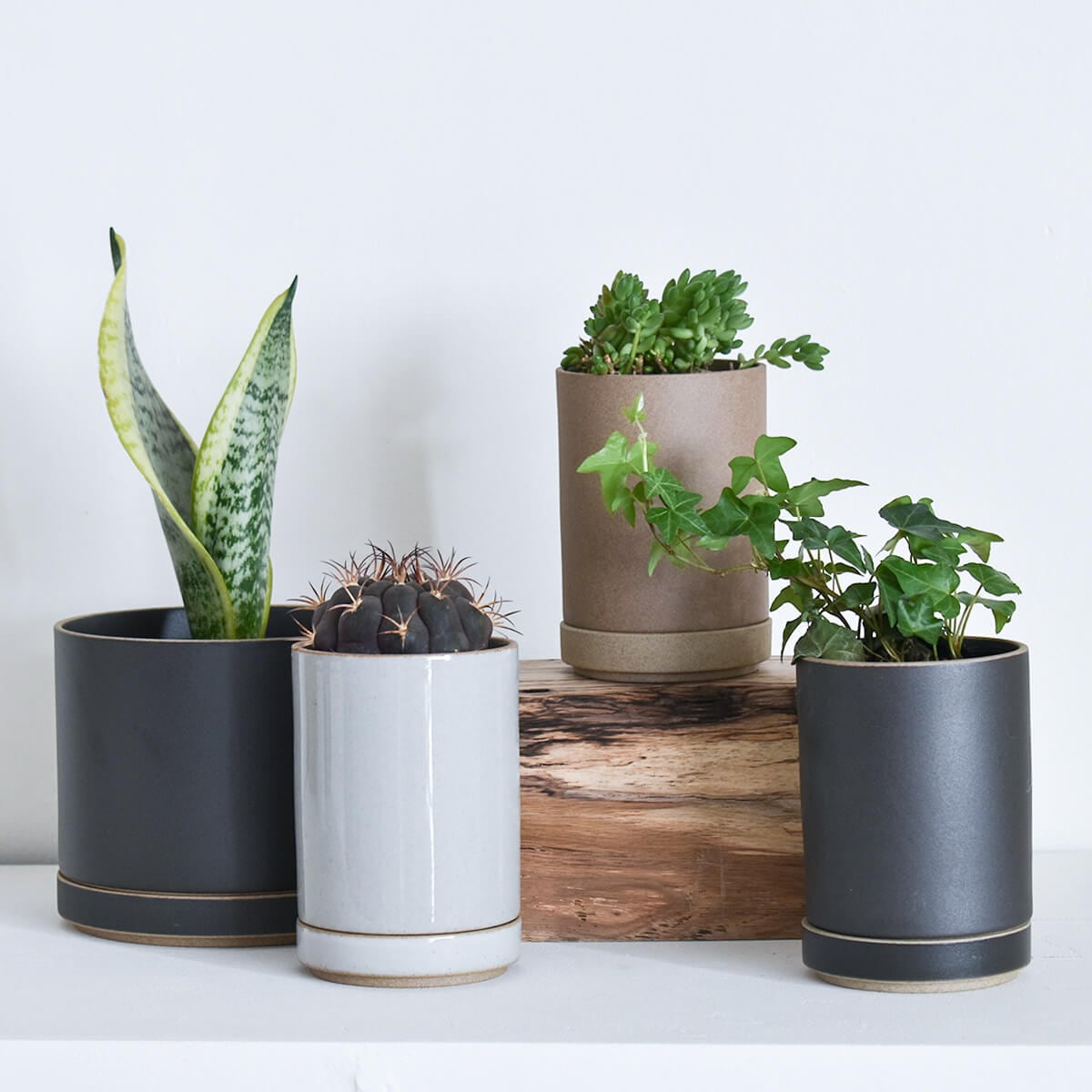 HASAMI PORCELAIN PLANTER / ハサミポーセリン｜CATAWARA（カタワラ）