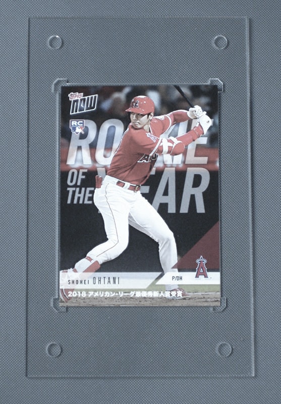 ウルトラプロ UV ルサイト・スクリューダウン 35pt プラスティック