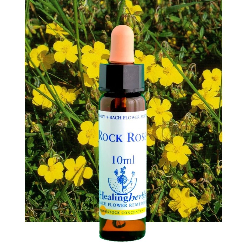 フラワーエッセンス 01 ロックローズ [ヒーリングハーブス] | カリス