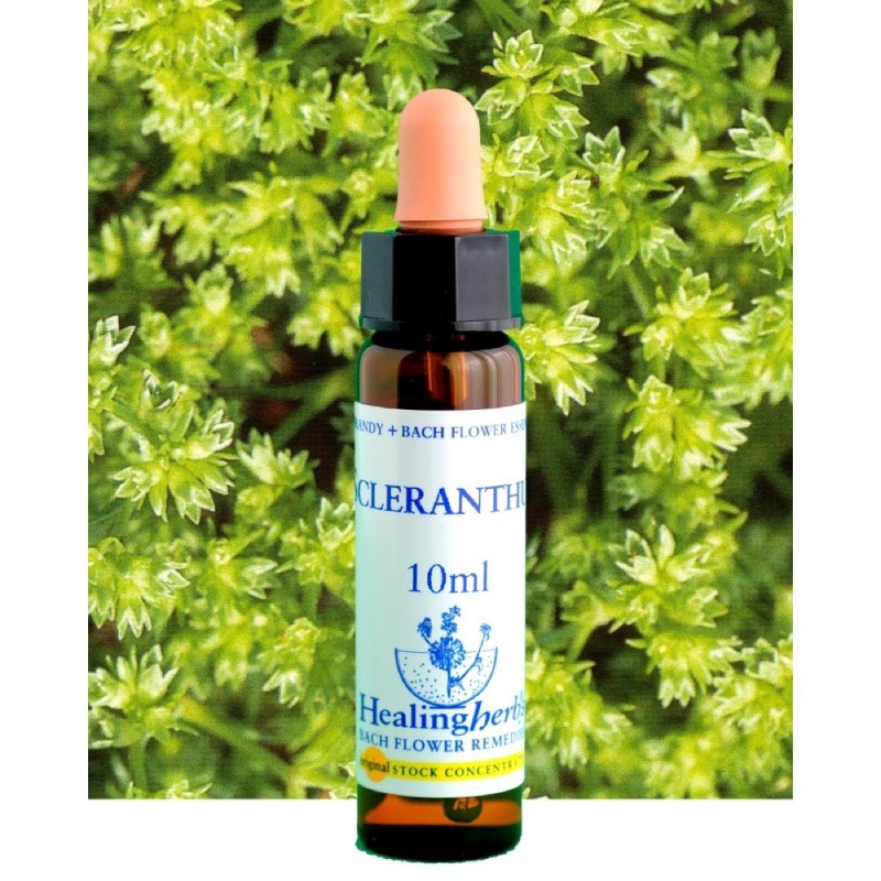 フラワーエッセンス 07 スクレランサス [ヒーリングハーブス] | カリス